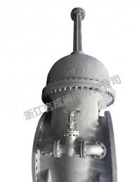 國標(biāo)大口徑閘閥 WCB 25 DN1600